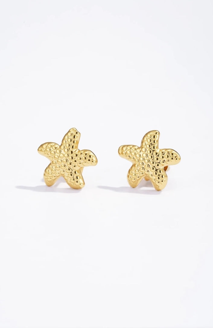 Boucles ÉTOILE 🌟